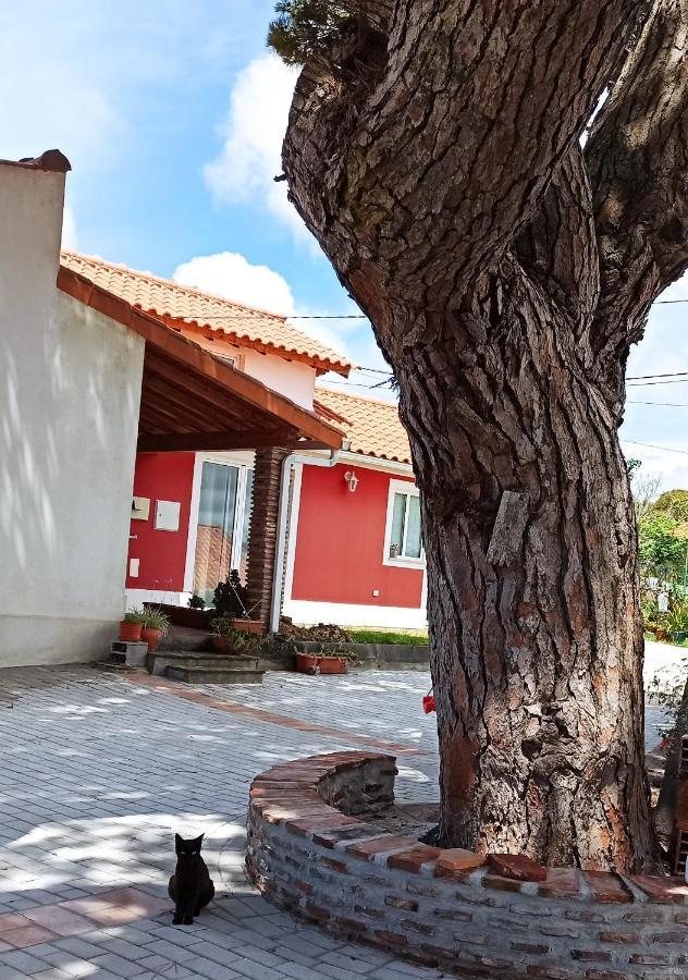 Casa De Campo A 5 Minutos Da Praia Atouguia Da Baleia Exterior foto